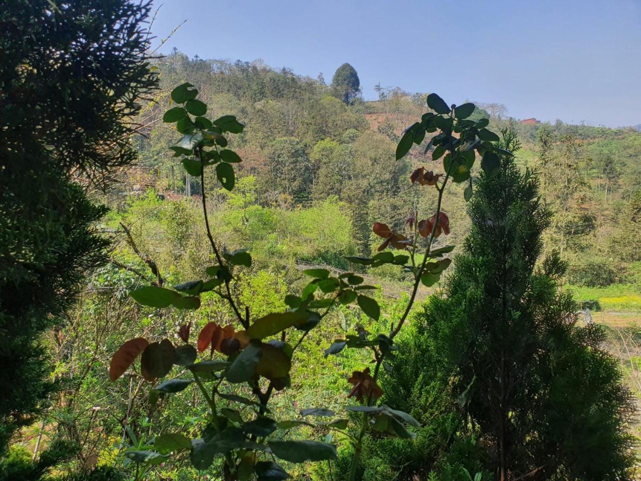 Sapa Garden Bungalow Buitenkant foto