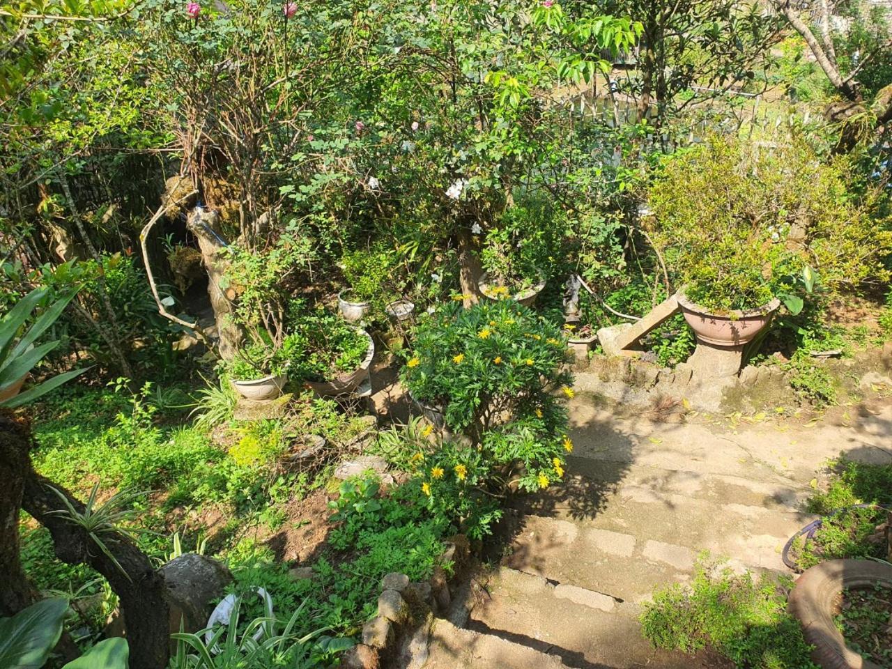 Sapa Garden Bungalow Buitenkant foto