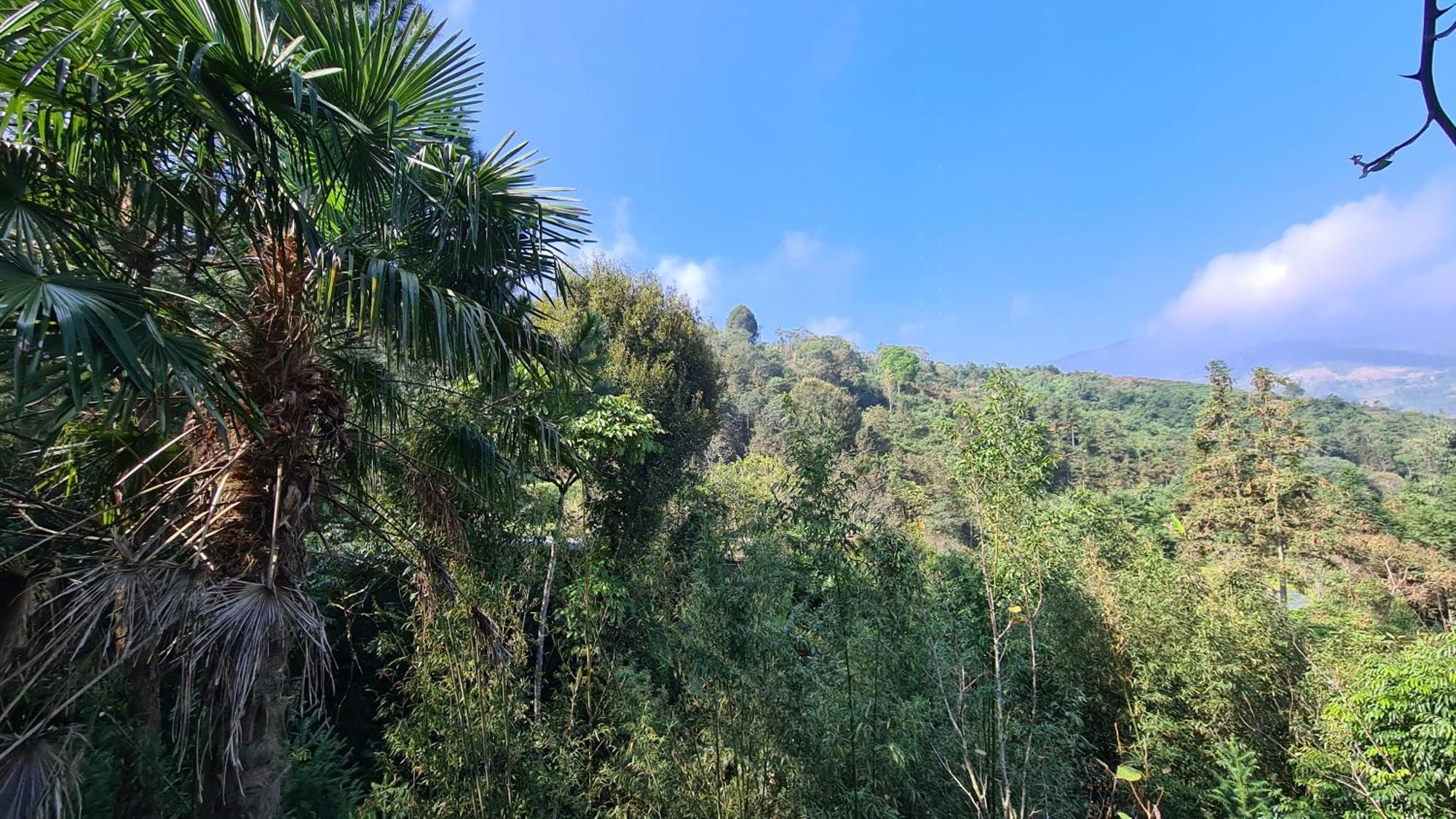 Sapa Garden Bungalow Buitenkant foto